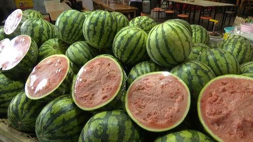 自由吃瓜群视频,揭秘热门视频背后的故事与笑料