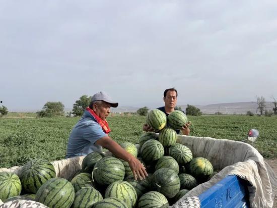 这两天很火的吃瓜视频,背后的故事与争议